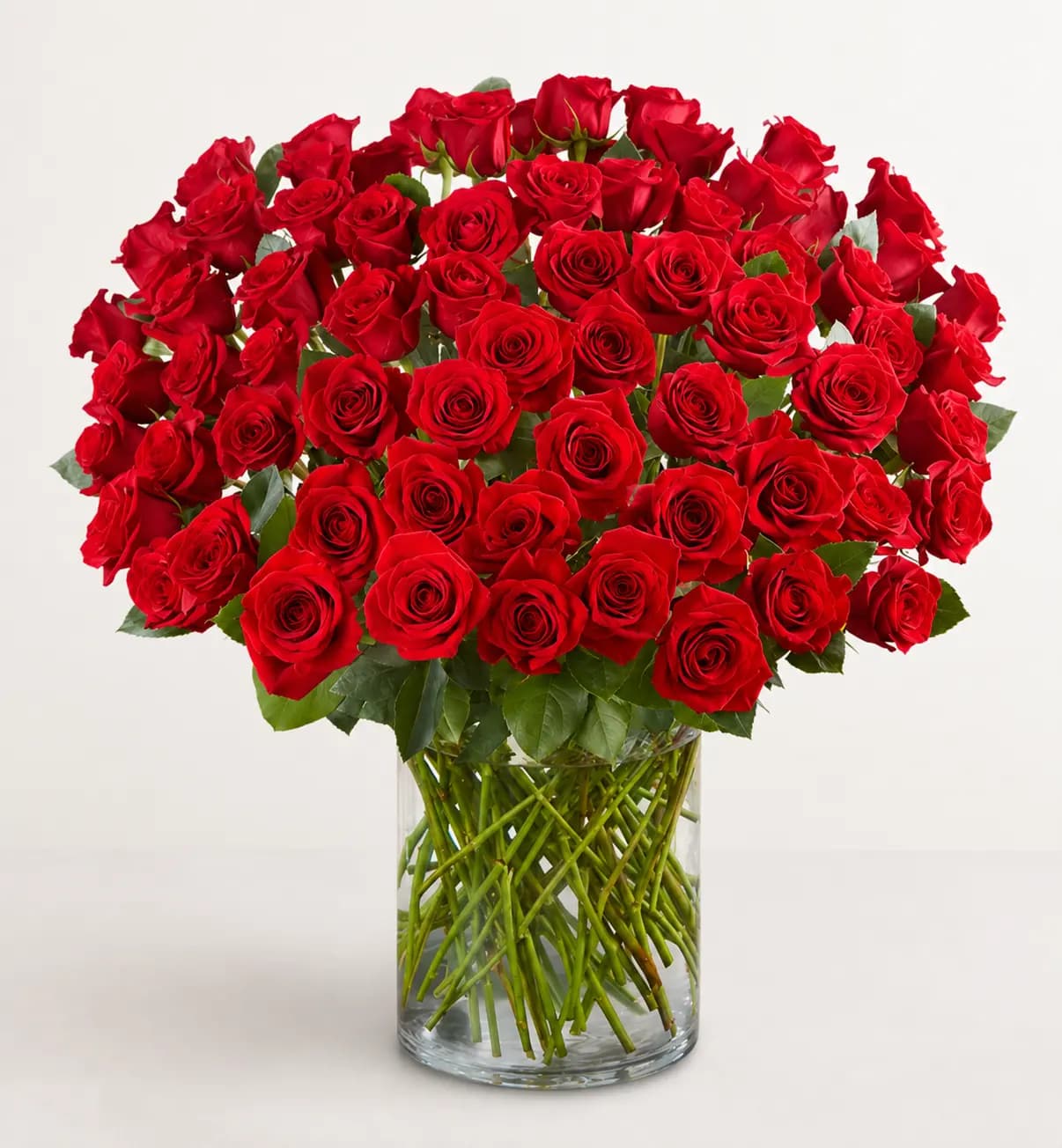 100 Long Stem Roses