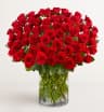 100 Long Stem Roses