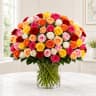 100 Roses of Love