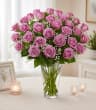Lavender Rose Elegance