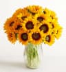 Sunflower Sunshine Bouquet